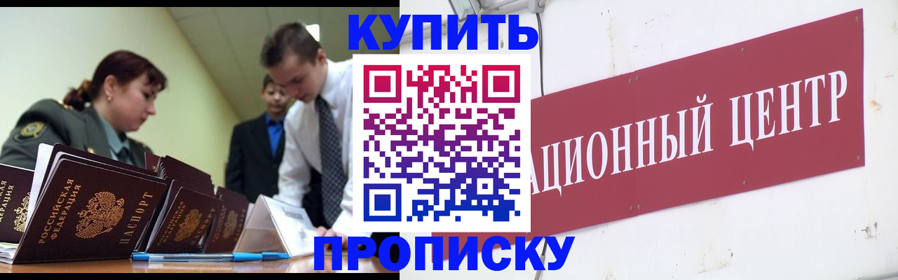 прописка поиск в Королёве